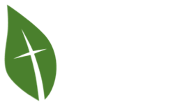 wilsonpca.com Blog